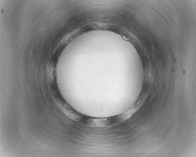 X0000087750188200706041111