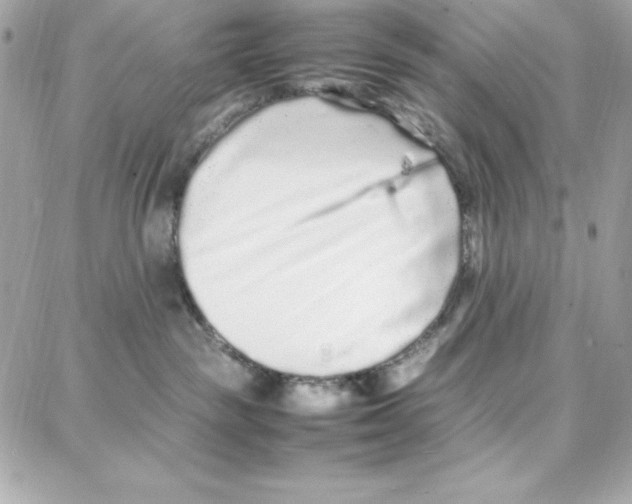 X0000087750189200706041111