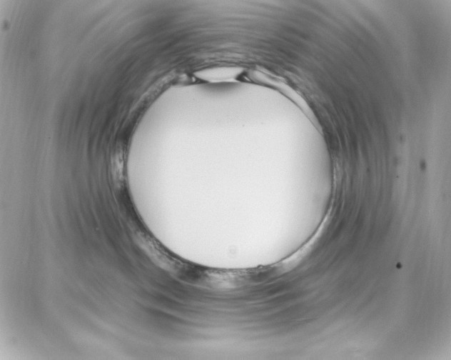 X0000087750190200706041111