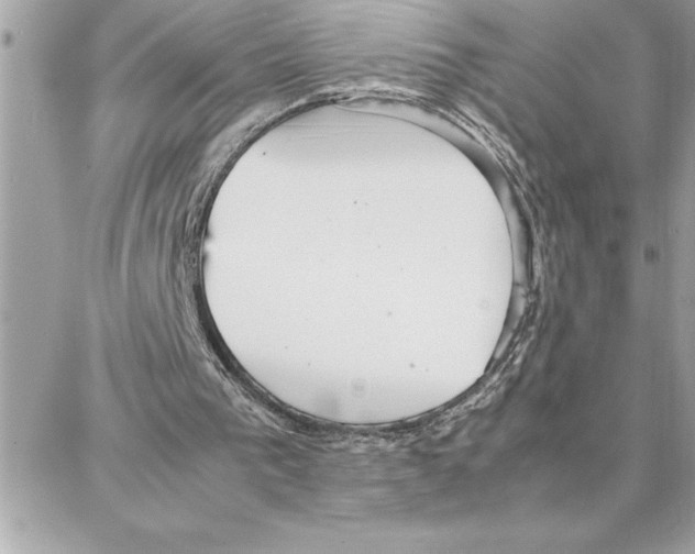 X0000087750193200706041110