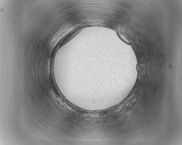 X0000087750194200706041110