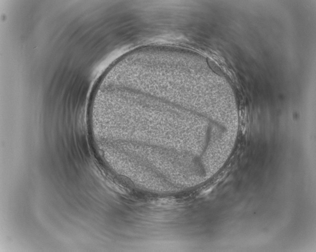 X0000087750196200706041110