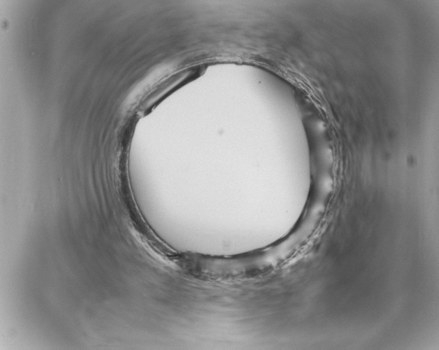 X0000087750197200706041110