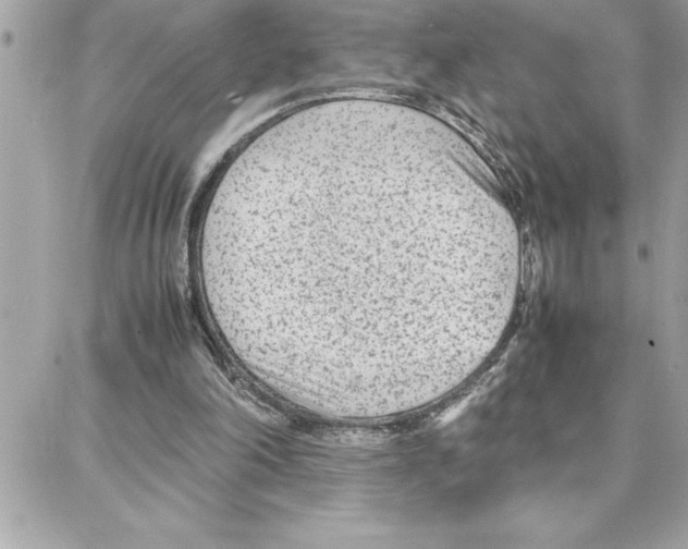 X0000087750198200706041110