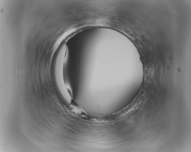 X0000087750200200706041110