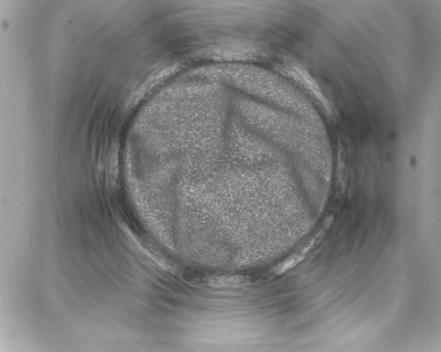 X0000087750202200706041110