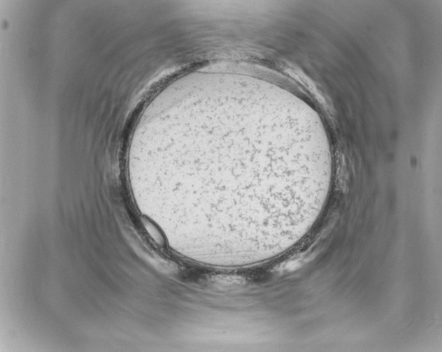 X0000087750203200706041110