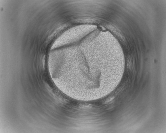 X0000087750206200706041110