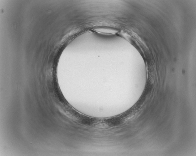 X0000087750207200706041110