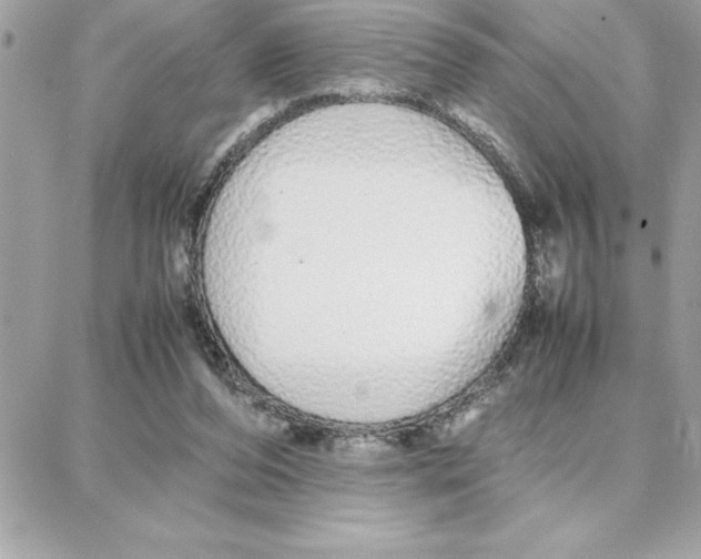 X0000087750208200706041110