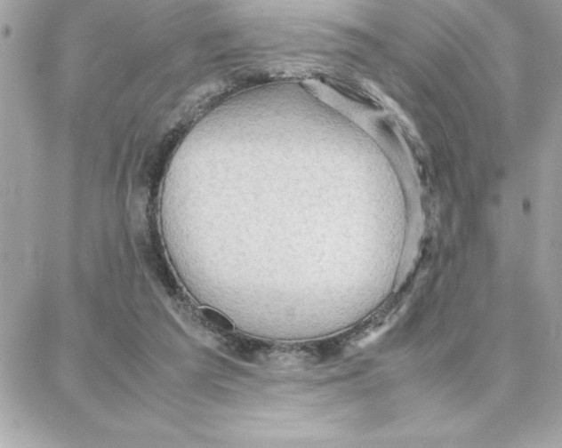 X0000087750209200706041110