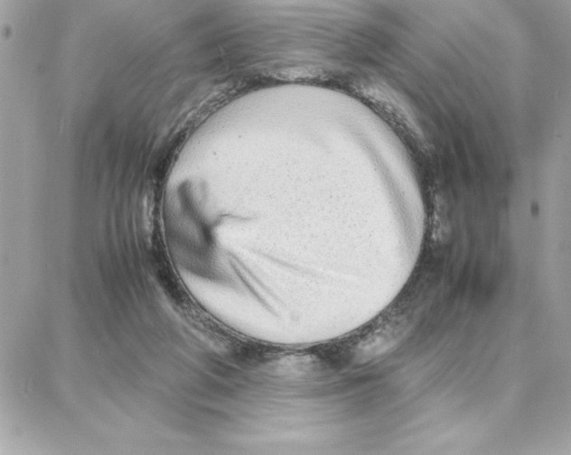 X0000087750210200706041110