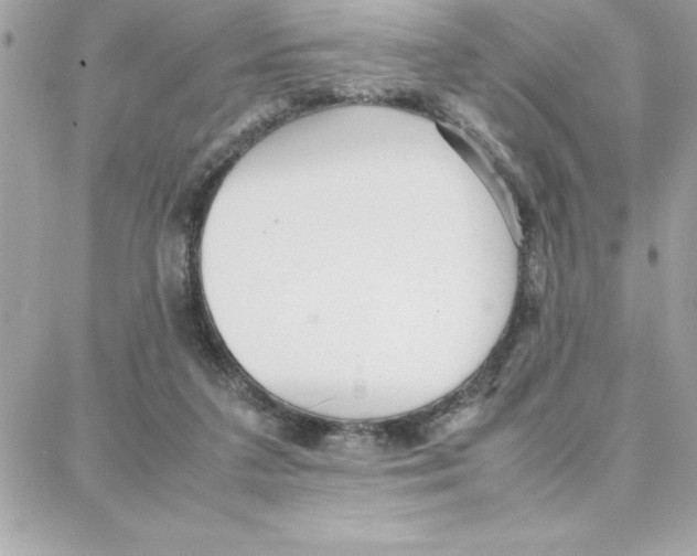 X0000087750211200706041110