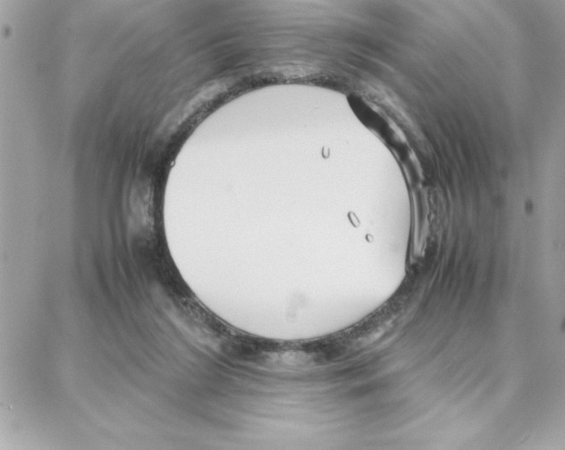 X0000087750212200706041110