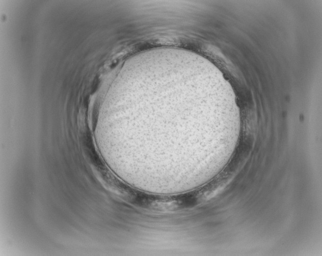 X0000087750213200706041110