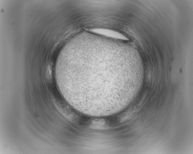 X0000087750214200706041110