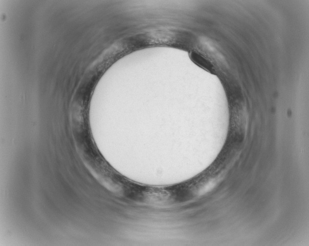 X0000087750215200706041110