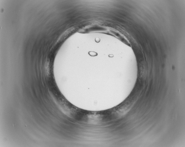 X0000087750216200706041110