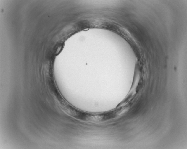 X0000087750217200706041110