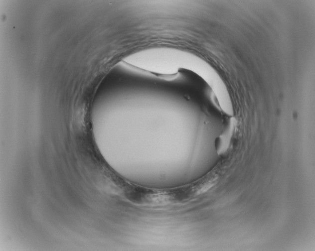 X0000087750219200706041110