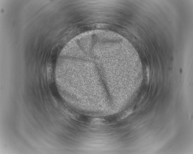 X0000087750222200706041109