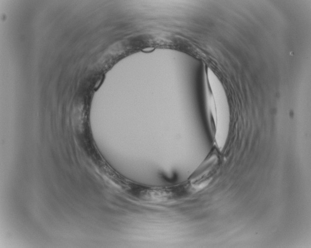 X0000087750223200706041109