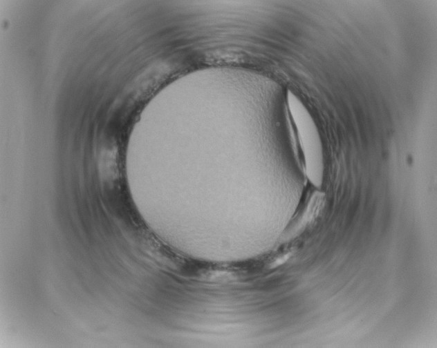 X0000087750224200706041109