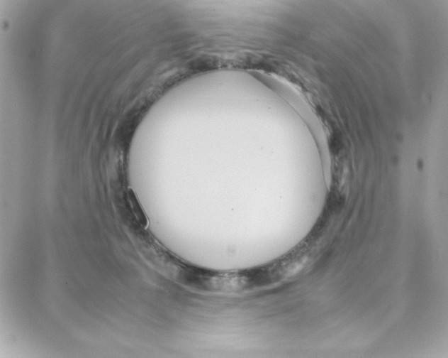 X0000087750225200706041109