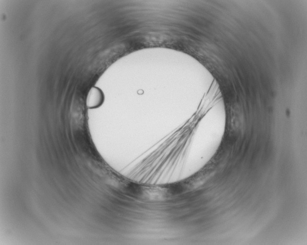 X0000087750226200706041109