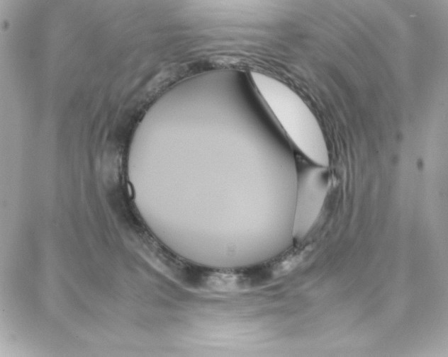 X0000087750227200706041109