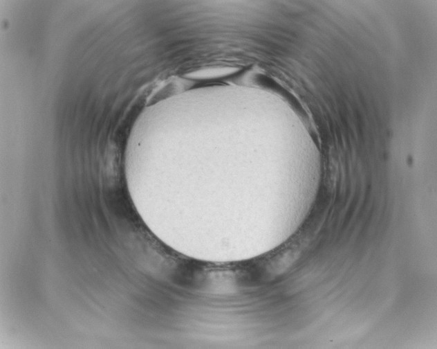 X0000087750228200706041109