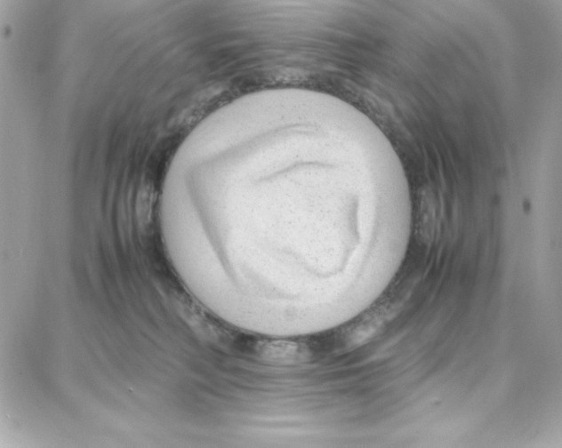 X0000087750230200706041109