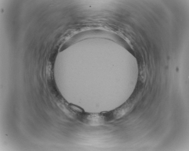 X0000087750231200706041109