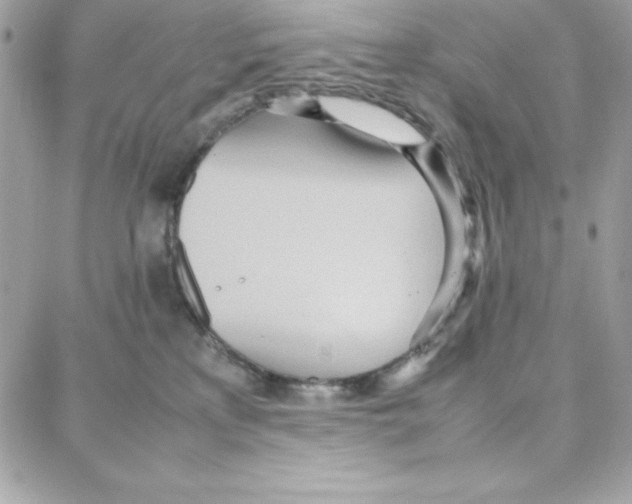 X0000087750233200706041109