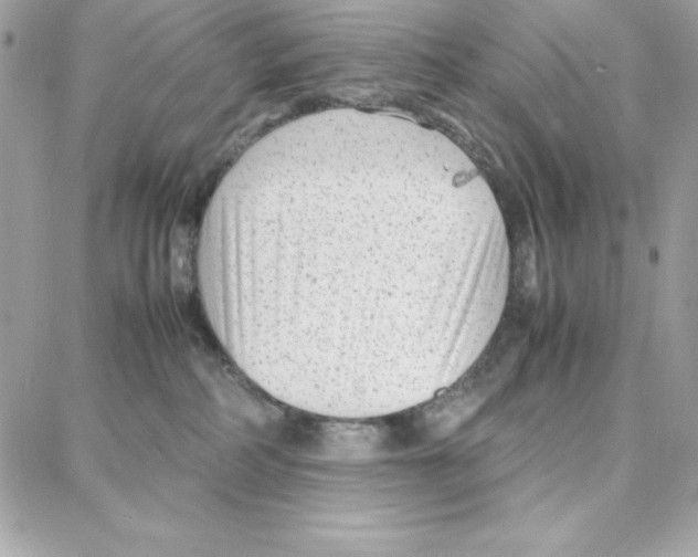 X0000087750234200706041109