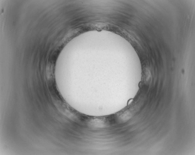 X0000087750236200706041109