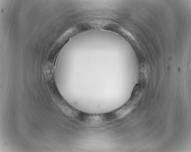 X0000087750237200706041109