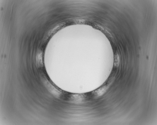 X0000087750238200706041109