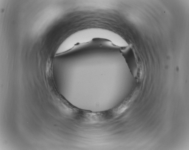 X0000087750239200706041109