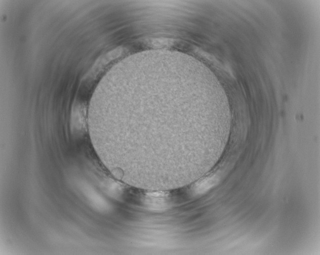 X0000087750240200706041109