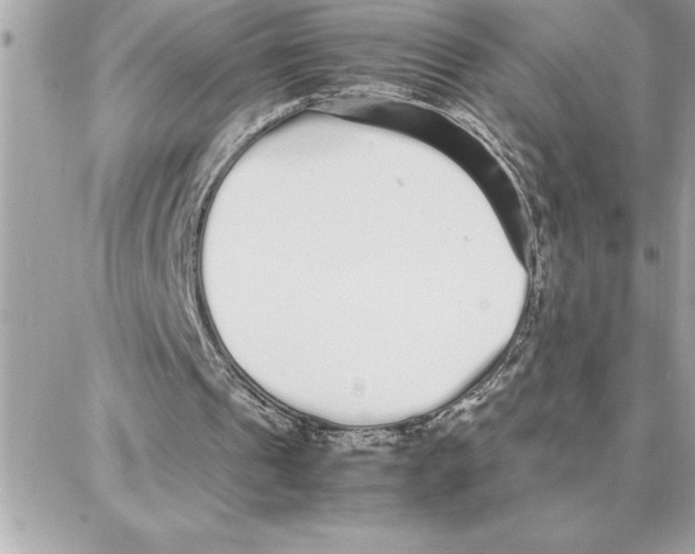 X0000087750241200706041108