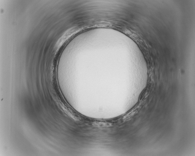 X0000087750242200706041108