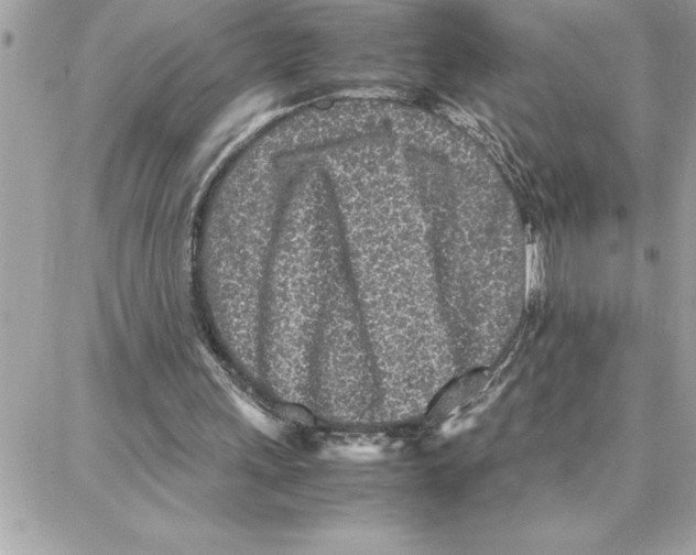 X0000087750243200706041108