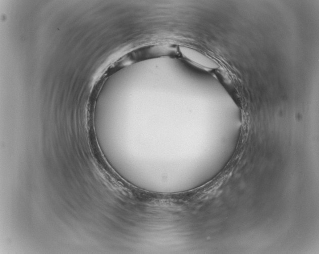 X0000087750244200706041108