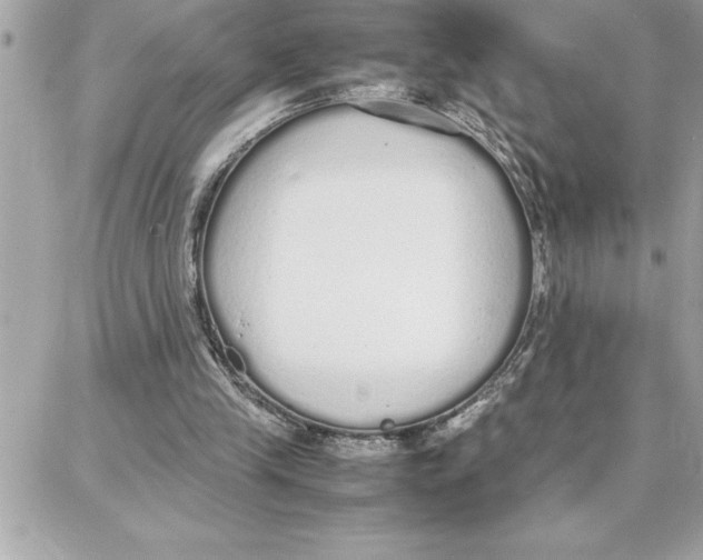 X0000087750245200706041108