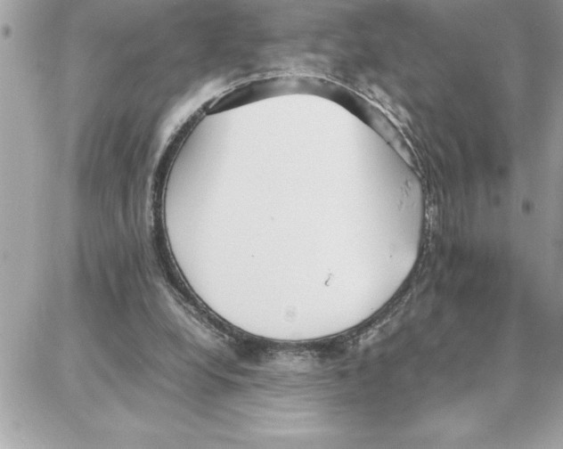 X0000087750248200706041108