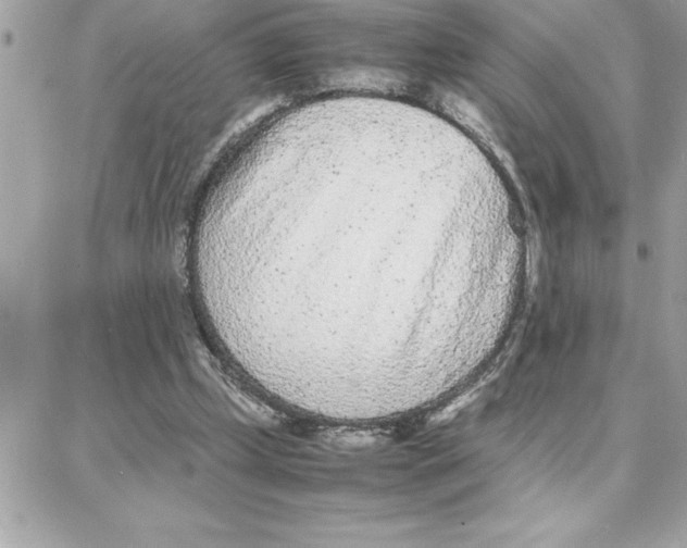 X0000087750249200706041109