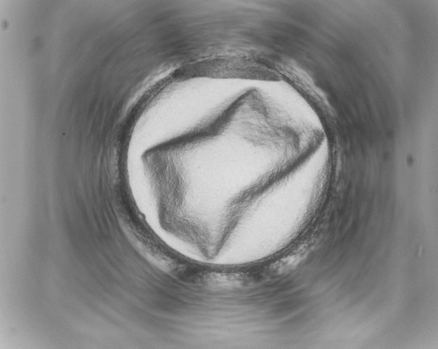 X0000087750250200706041109