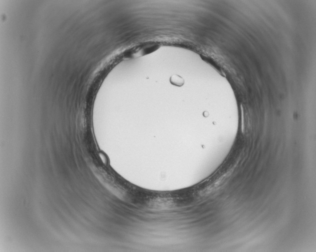 X0000087750252200706041109