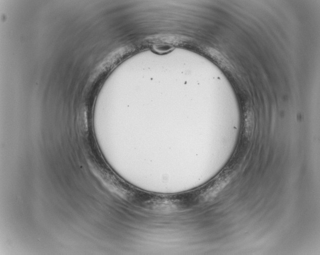 X0000087750254200706041109